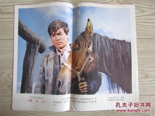 办假的安大略省驾照